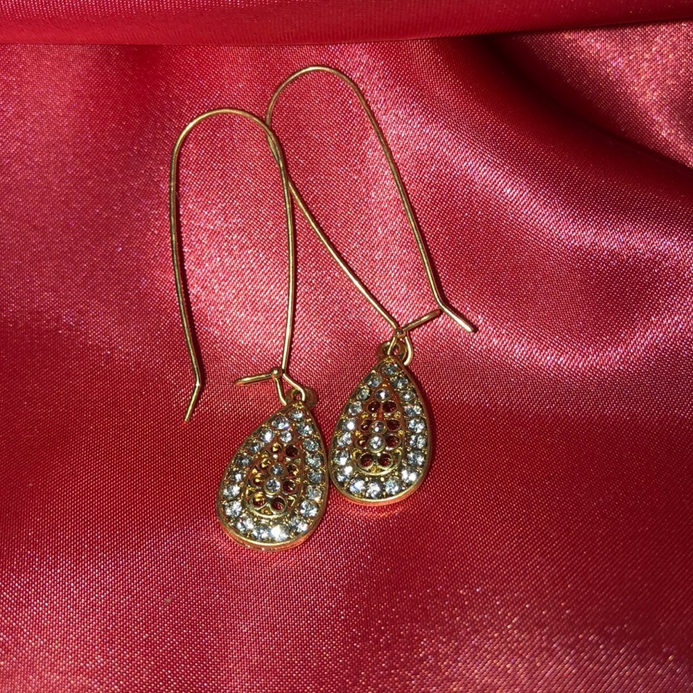 earrings ☆☆